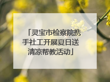 灵宝市检察院携手社工开展夏日送清凉帮教活动