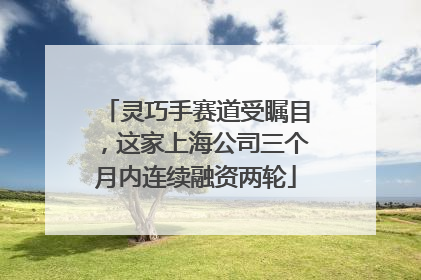 灵巧手赛道受瞩目，这家上海公司三个月内连续融资两轮