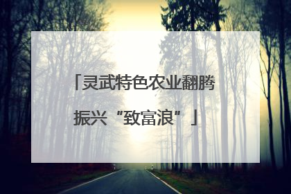 灵武特色农业翻腾振兴“致富浪”