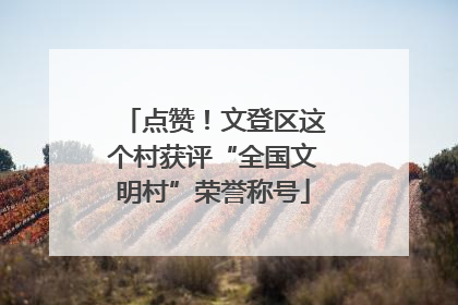 点赞！文登区这个村获评“全国文明村”荣誉称号