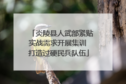炎陵县人武部紧贴实战需求开展集训 打造过硬民兵队伍