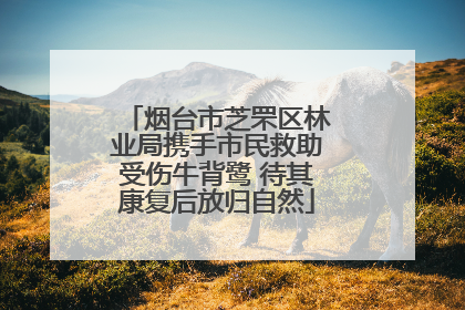 烟台市芝罘区林业局携手市民救助受伤牛背鹭 待其康复后放归自然