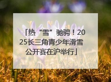 热“雪”驰骋！2025长三角青少年滑雪公开赛在沪举行