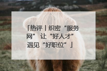 热评丨织密“服务网” 让“好人才”遇见“好职位”