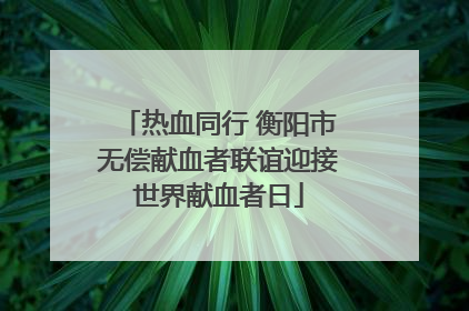 热血同行 衡阳市无偿献血者联谊迎接世界献血者日