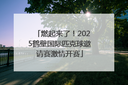 燃起来了！2025鹤壁国际匹克球邀请赛激情开赛