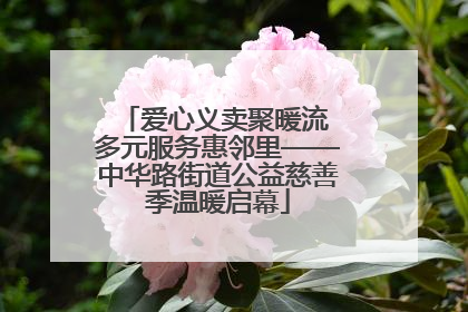 爱心义卖聚暖流 多元服务惠邻里——中华路街道公益慈善季温暖启幕