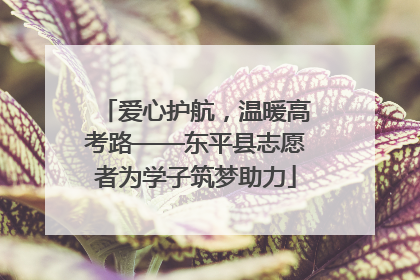 爱心护航，温暖高考路——东平县志愿者为学子筑梦助力