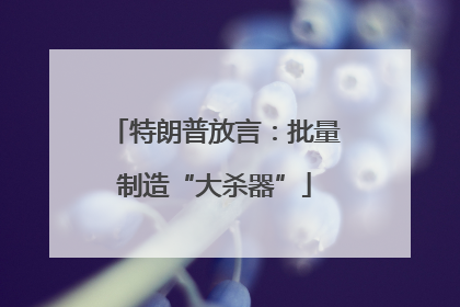 特朗普放言：批量制造“大杀器”