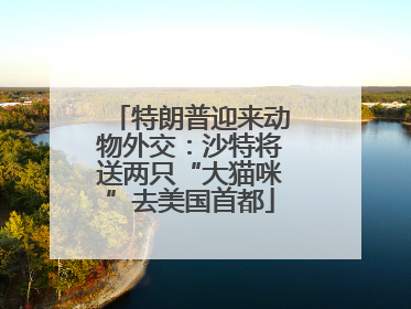 特朗普迎来动物外交：沙特将送两只“大猫咪”去美国首都