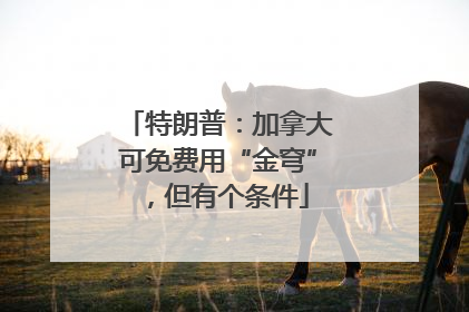 特朗普：加拿大可免费用“金穹”，但有个条件