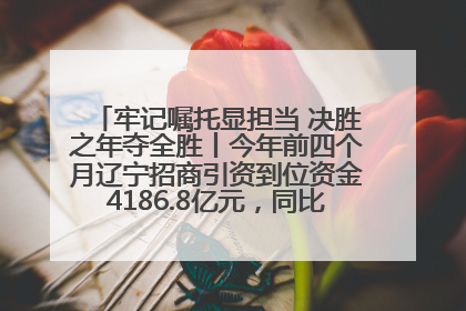 牢记嘱托显担当 决胜之年夺全胜丨今年前四个月辽宁招商引资到位资金4186.8亿元，同比增长17.4%