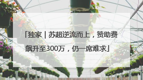 独家｜苏超逆流而上，赞助费飙升至300万，仍一席难求