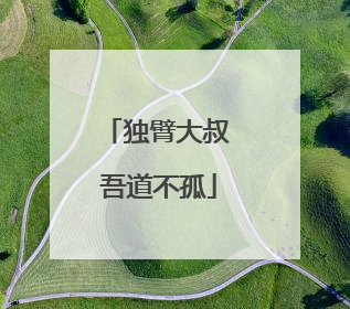 独臂大叔 吾道不孤
