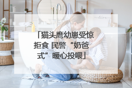 猫头鹰幼崽受惊拒食 民警“奶爸式”暖心投喂