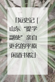 短史记｜山东“提学副使”亲自更名的平原闲道书院