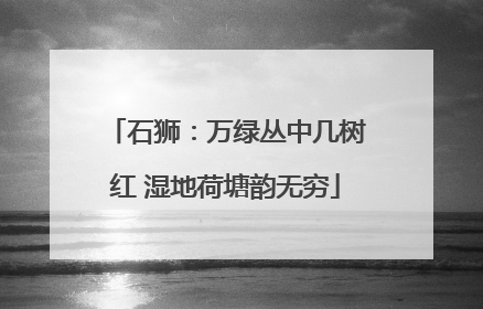 石狮：万绿丛中几树红 湿地荷塘韵无穷