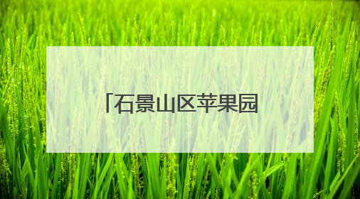 石景山区苹果园第二小学2025年新生入学资格审核认定工作安排
