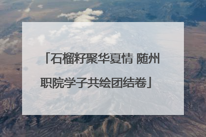 石榴籽聚华夏情 随州职院学子共绘团结卷