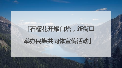 石榴花开耀白塔，新街口举办民族共同体宣传活动