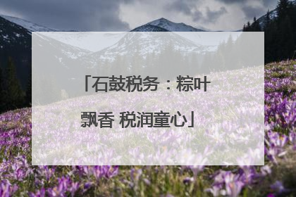 石鼓税务：粽叶飘香 税润童心