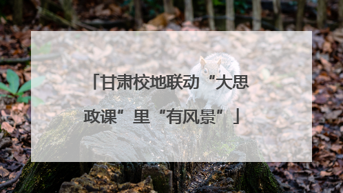 甘肃校地联动“大思政课”里“有风景”