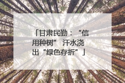 甘肃民勤：“信用种树” 汗水浇出“绿色存折”
