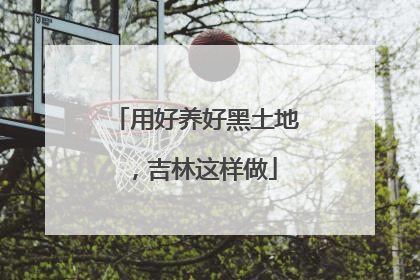 用好养好黑土地，吉林这样做