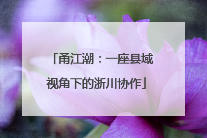 甬江潮：一座县域视角下的浙川协作