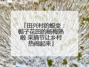 田兴村的蜕变：栀子花田的杨梅熟啦 采摘节让乡村热闹起来