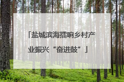 盐城滨海擂响乡村产业振兴“奋进鼓”