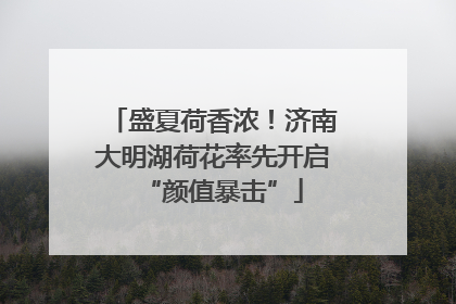 盛夏荷香浓！济南大明湖荷花率先开启“颜值暴击”