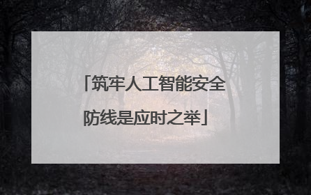 筑牢人工智能安全防线是应时之举