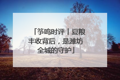 筝鸣时评丨夏粮丰收背后，是潍坊全城的守护