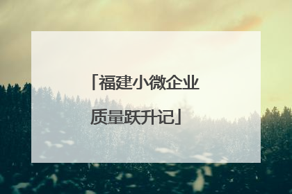 福建小微企业质量跃升记