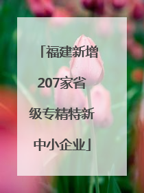 福建新增207家省级专精特新中小企业