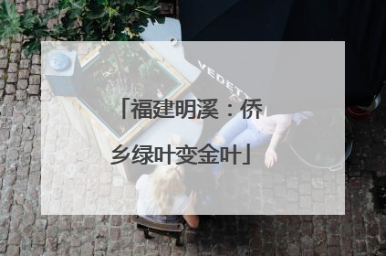 福建明溪：侨乡绿叶变金叶