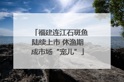 福建连江石斑鱼陆续上市 休渔期成市场“宠儿”