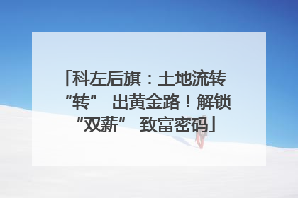科左后旗：土地流转 “转” 出黄金路！解锁 “双薪” 致富密码
