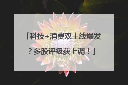 科技+消费双主线爆发？多股评级获上调！