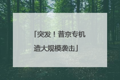 突发！普京专机遭大规模袭击