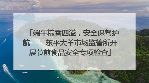 端午粽香四溢，安全保驾护航——东平大羊市场监管所开展节前食品安全专项检查