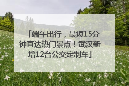 端午出行，最短15分钟直达热门景点！武汉新增12台公交定制车