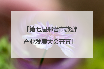 第七届邢台市旅游产业发展大会开幕