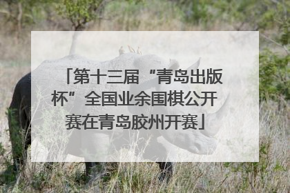 第十三届“青岛出版杯”全国业余围棋公开赛在青岛胶州开赛