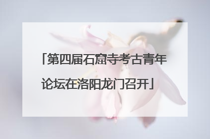 第四届石窟寺考古青年论坛在洛阳龙门召开