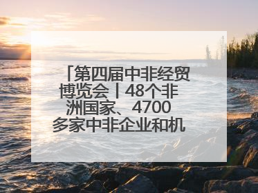 第四届中非经贸博览会丨48个非洲国家、4700多家中非企业和机构将参会