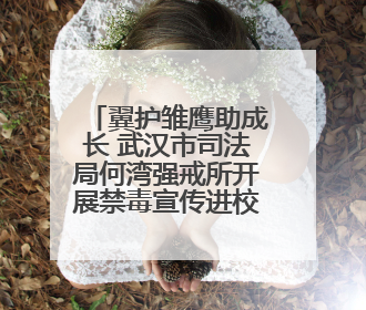 翼护雏鹰助成长 武汉市司法局何湾强戒所开展禁毒宣传进校园活动