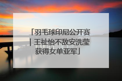羽毛球印尼公开赛｜王祉怡不敌安洗莹 获得女单亚军