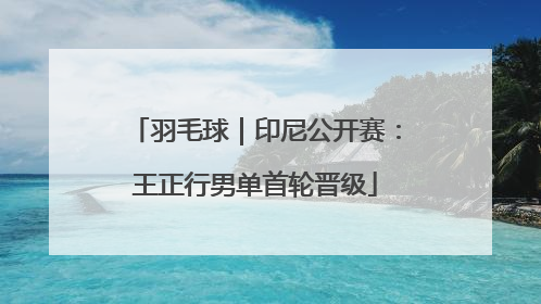 羽毛球｜印尼公开赛：王正行男单首轮晋级